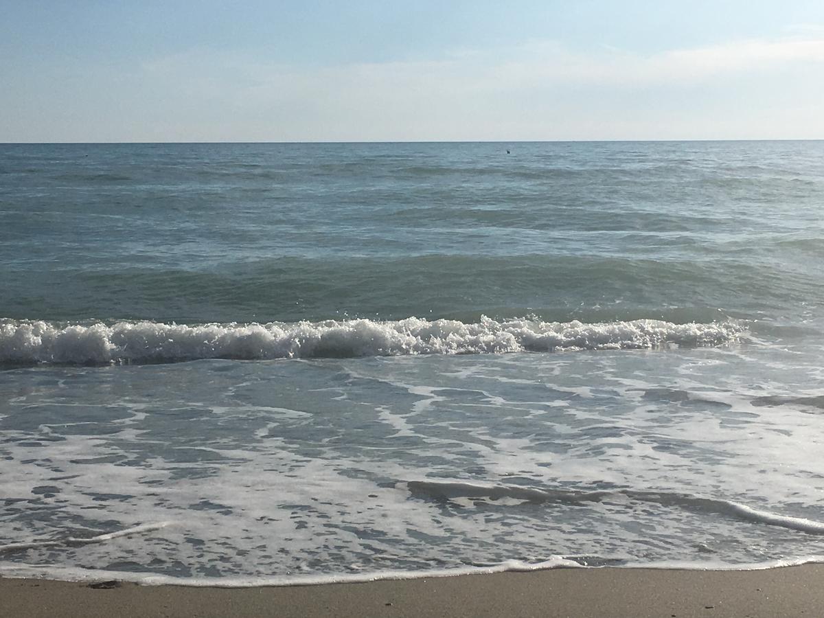 فندق Ippocampoفي  African Beach المظهر الخارجي الصورة